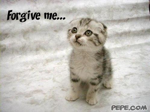 forgive_me_4